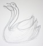 Swan