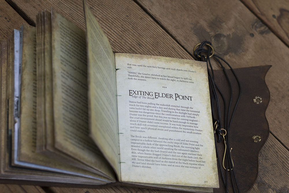 closeup page of text in a leather-bound journal