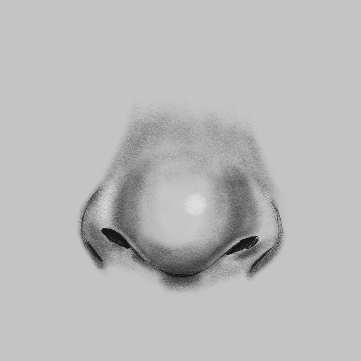 digital drawing of a closeup of a nose